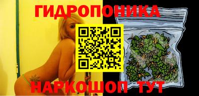 тгк Сланцы