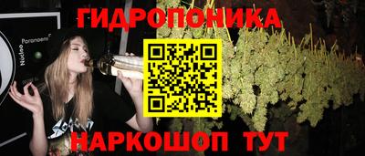 jwh Свободный