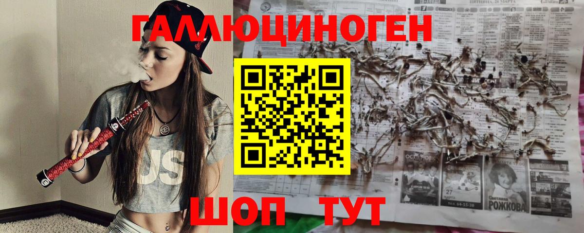 Псилоцибиновые грибы Psilocybe Орёл